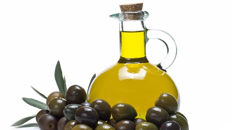 Slow Food Calabria: ben 25 presidi dell’olio etravergine d’oliva