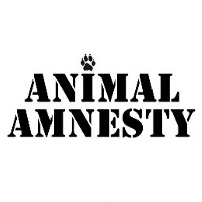 animal amnesty