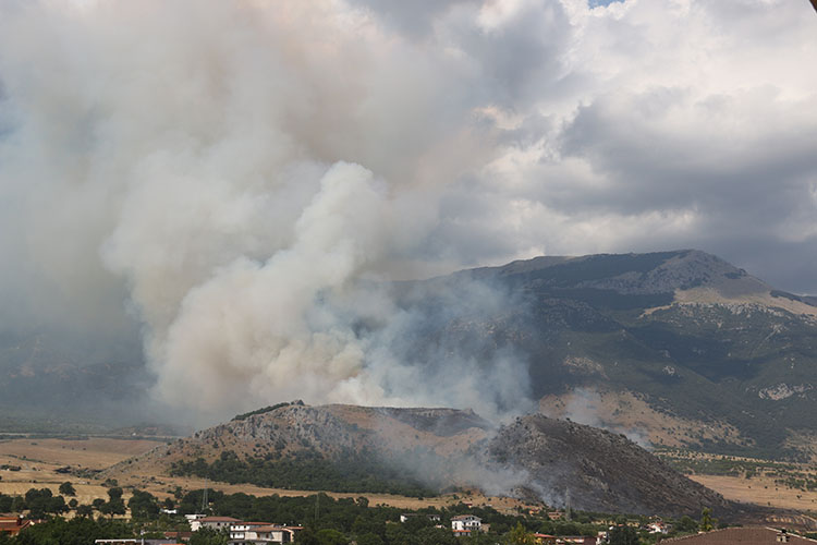 Oliverio: più uomini dell’esercito contro incendi. Siamo davanti ad una spirale distruttiva