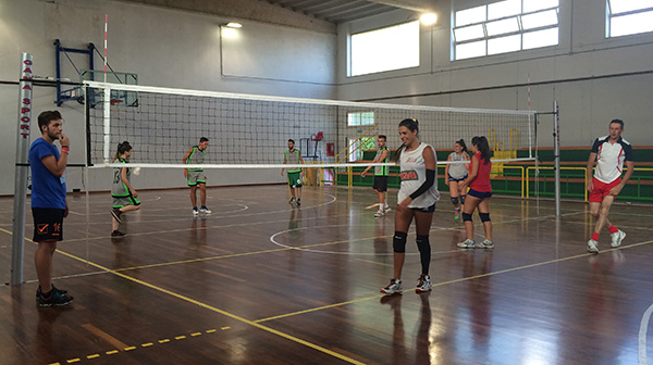 volley 3