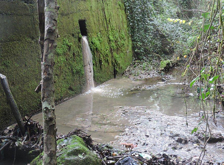 Operazione Isabel per fermare l’inquinamento del fiume Savuto