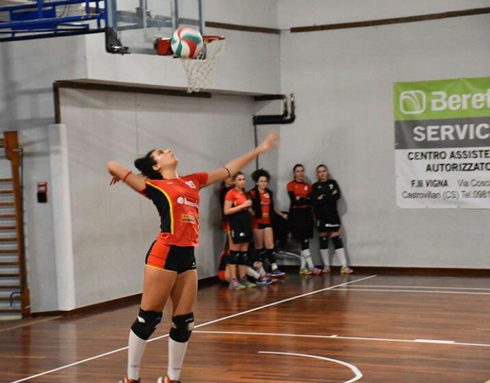 berarldi volley