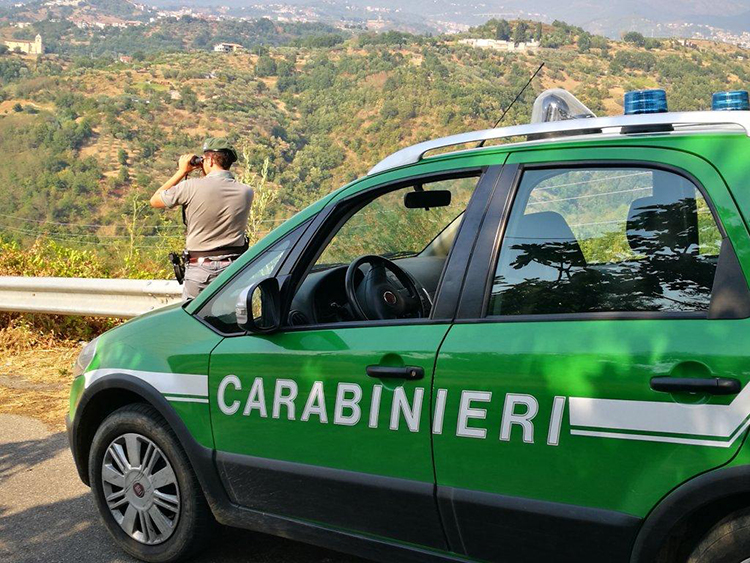 Smaltimento rifiuti mediante combustione. Denunciata una persona