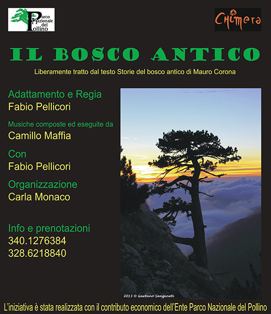 Teatro. Il bosco antico di Fabio Pellicori