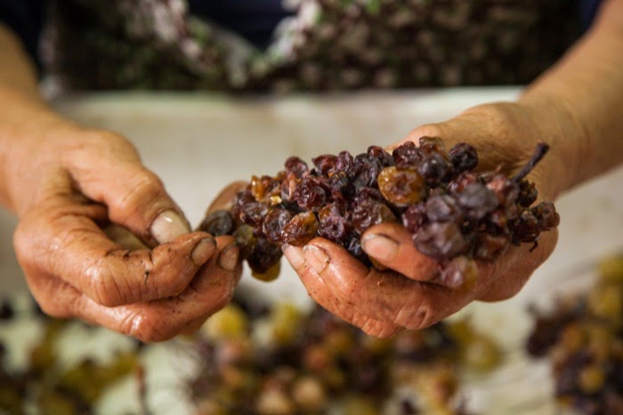 Saracena Wine Festival. Il tributo al Moscato con una degustazione ed una cena gourmet