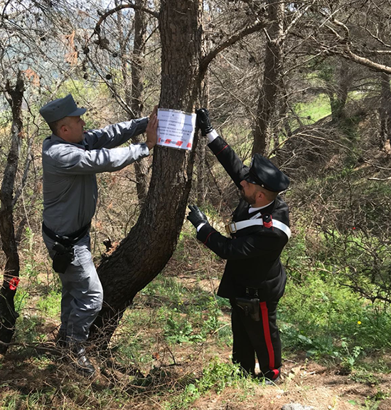 Incendi boschivi. Indagini della Procura, sequestrati diversi boschi dell’alto Jonio