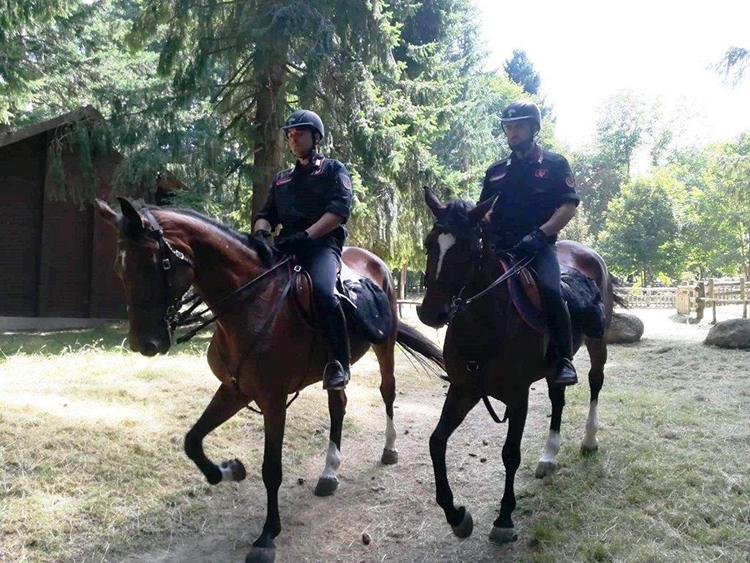 carabinieri forestali cavallo