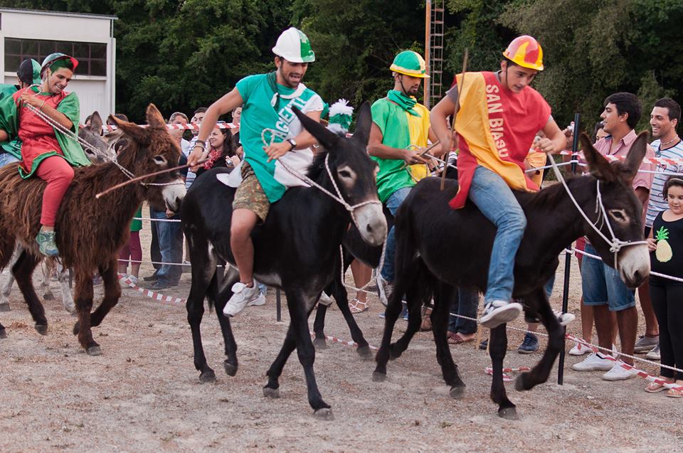 palio dei ciucci