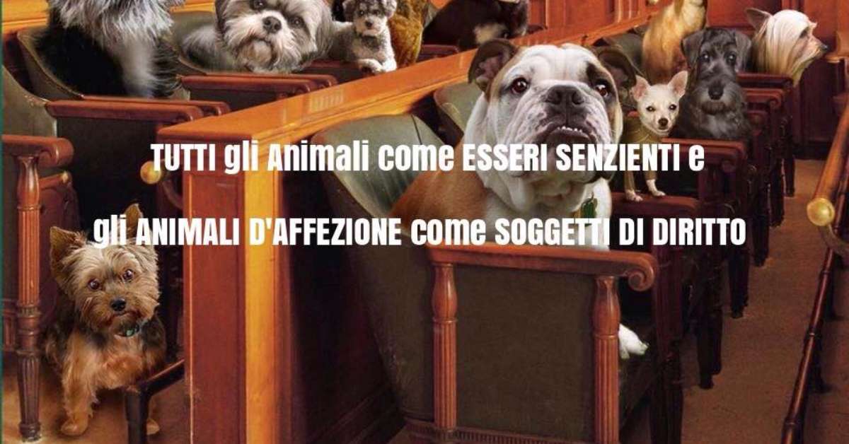 Modifica del Codice Civile sulla classificazione degli animali. Se ne è discusso a Rende