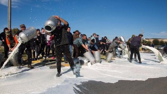 Proteste degli allevatori per il prezzo del latte in Sardegna