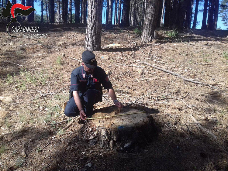 carabinieri forestali acri2