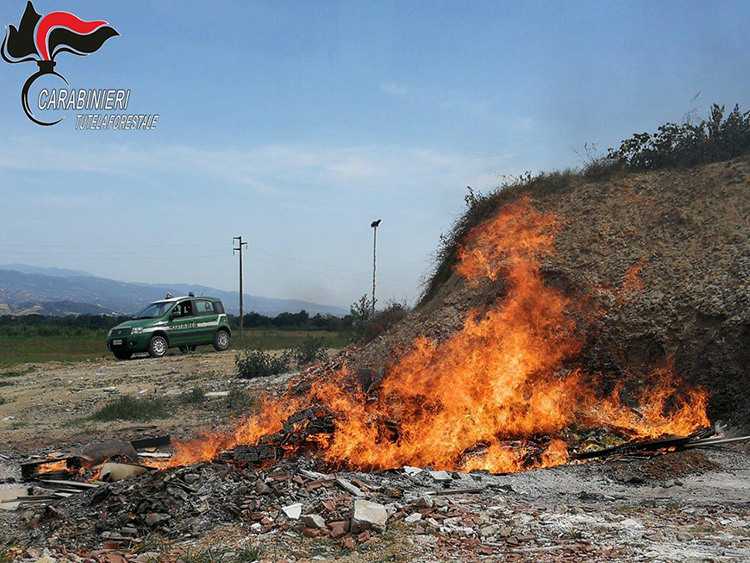 carabinieri forestali torano fuoco