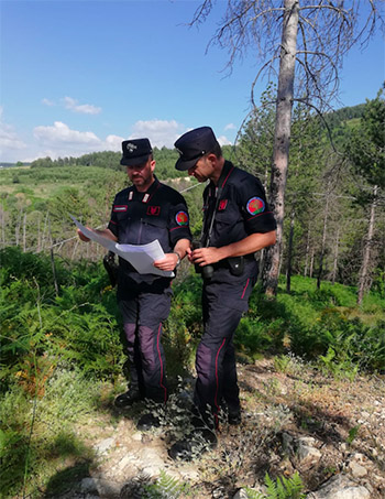 carabinieri forestali Sila