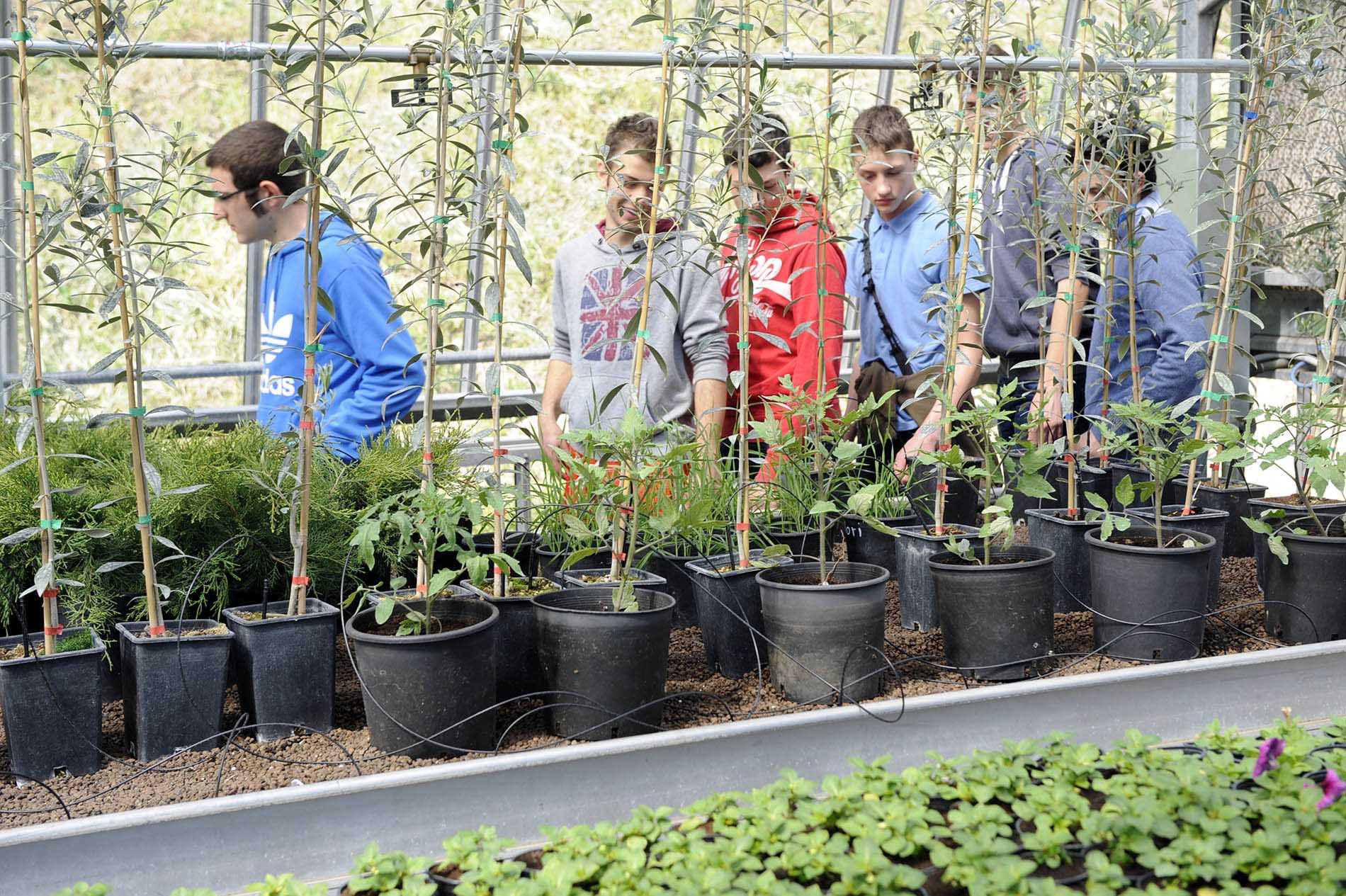 Popolo della Famiglia: ripristiniamo l’istruzione agraria nel nostro territorio