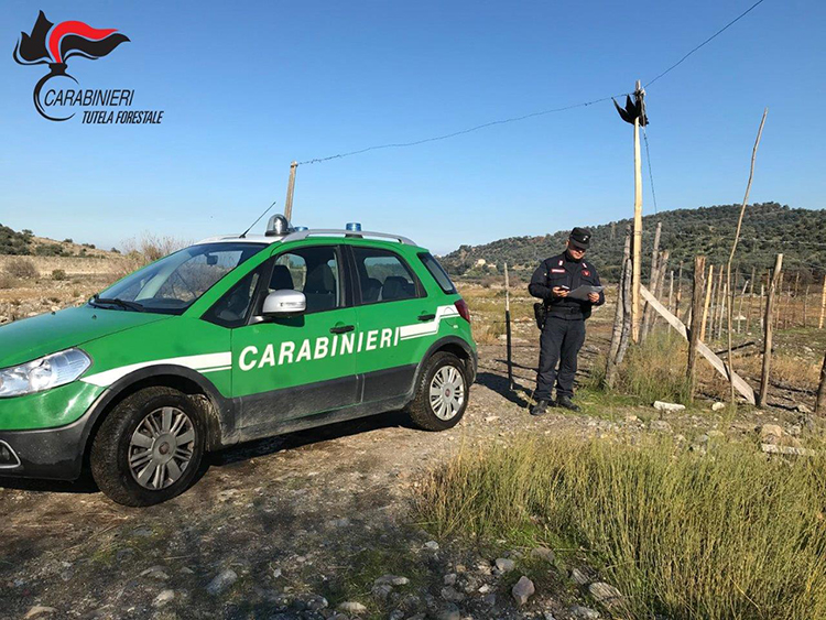 Occupazioni abusive di terreni. Controlli e sequestri dei Carabinieri Forestale di Rossano