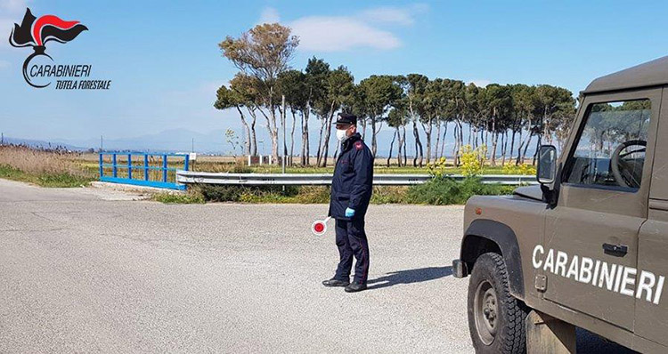 Controlli Covid. Denunce e sanzioni dei Carabinieri Forestali