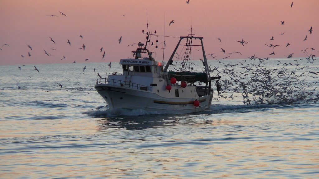 Trecento mila euro dalla Regione per sostegno alla pesca e tutela degli ecosistemi marini