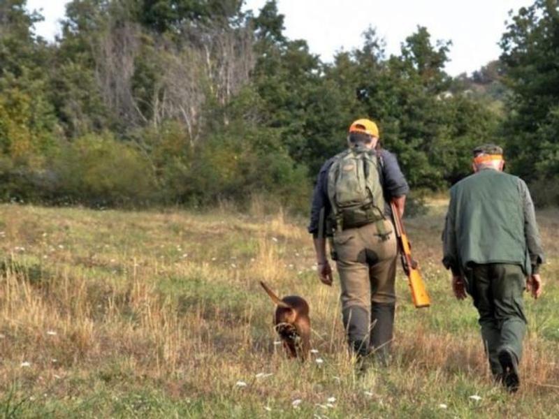 Regione. Gallo: approvato il piano di selezione al cinghiale