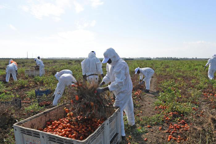 lavoratori campi