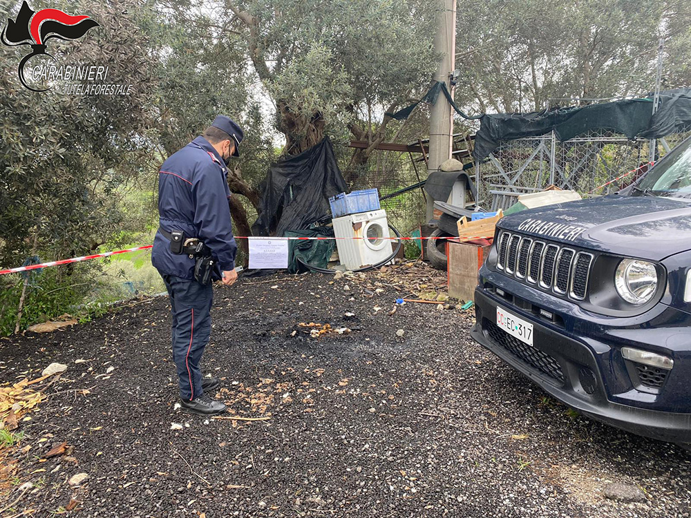 Incendia rifiuti, denunciato un uomo di Lattarico