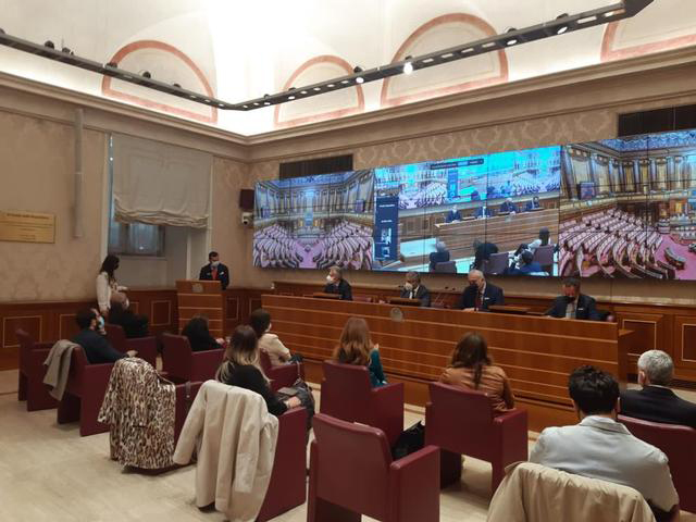 senato conferenza feasr