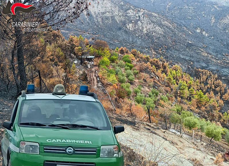 Incendi estivi. Individuato il responsabile del vasto rogo di Albidona