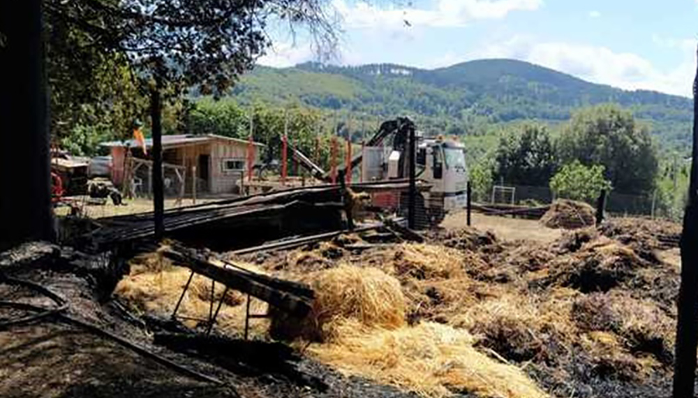 incendio vallelonga azienda agricola