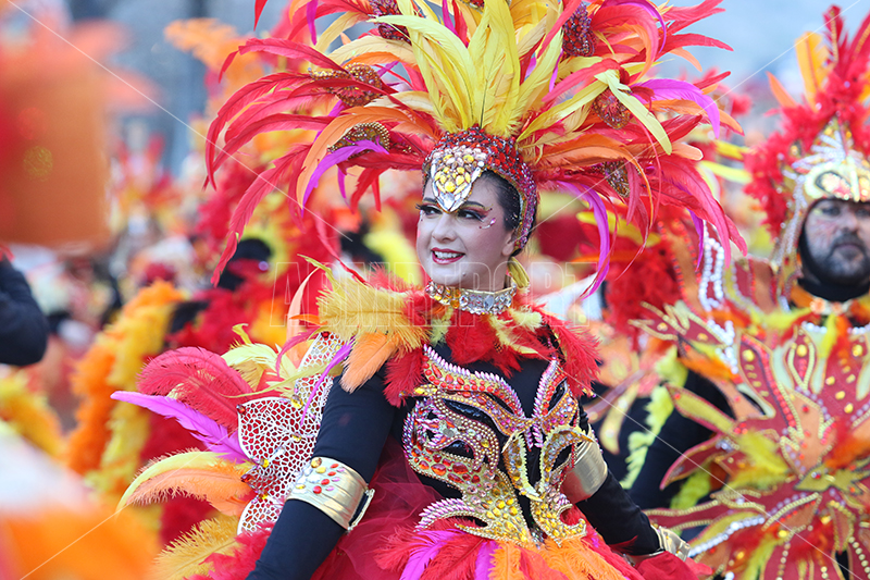 Carnevale di Castrovillari, un grande evento per questo territorio